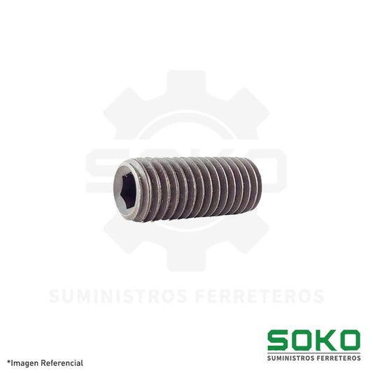 PRISIONERO ALLEN M8 X 10 RC C14.9